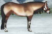 Horse Color:Bay Onyx 