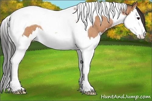 Horse Color:Bay Roan Splash Tobiano 