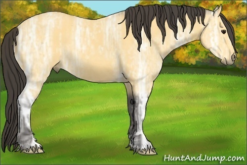 Horse Color:Buckskin Ice Roan and Buckskin Ice