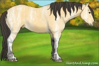 Horse Color:Buckskin Ice Roan and Buckskin Ice