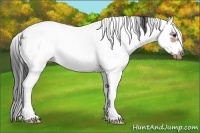 Horse Color:White Spotted Bay Splash Frame Blanket