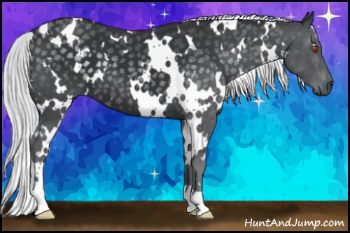 Horse Color:White Spotted Silver Black Chinchilla 