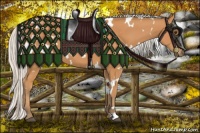 Horse Color:White Spotted Silver Bay 