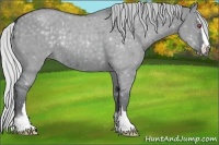 Horse Color:Silver Grullo Chinchilla Sabino 