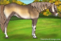 Horse Color:Chocolate Palomino Roan Onyx Sabino Rabicano