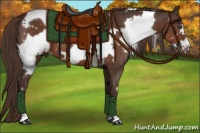 Horse Color:White Spotted Liver Chestnut Frame 