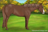 Horse Color:Chestnut Splash Frame 