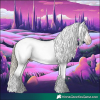 Horse Color:Gray White Spotted Gold Champagne Mushroom Tobiano Blanket 