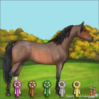 Horse Color:Bay Roan 