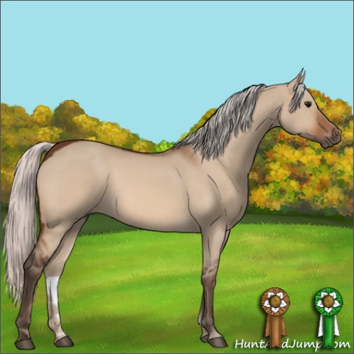 Horse Color:Silver Bay Dun 