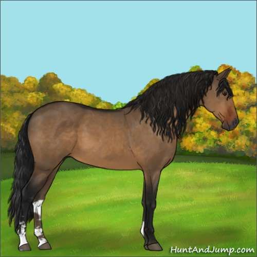 Horse Color:Gray Brown Dun Sabino