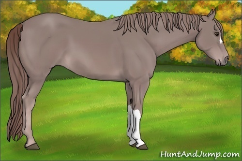 Horse Color:Platinum Chestnut 