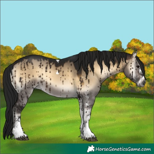 Horse Color:Gray White Spotted Brown Onyx Tobiano Brindle