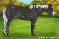 Horse Color:Liver Chestnut Mushroom Snowflake Varnish