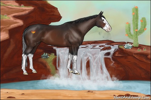 Horse Color:Brown Sabino Splash 