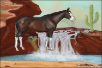 Horse Color:Brown Sabino Splash 