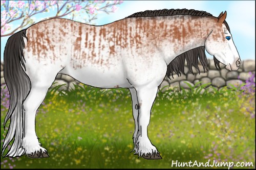 Horse Color:White Spotted Bay Splash and White Spotted Bay Splash