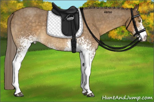 Horse Color:White Spotted Chocolate Palomino Roan 