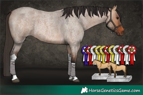 Horse Color:Bay Roan Dun Tobiano 