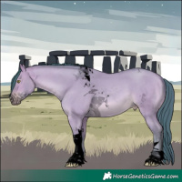 Horse Color:Void Watercolor Amber Champagne Dun Tobiano