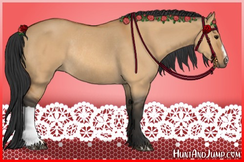 Horse Color:Bay Dun Rabicano 