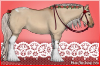 Horse Color:Silver Bay Dun Tobiano 