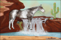 Horse Color:White Spotted Liver Chestnut 