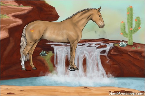 Horse Color:Palomino Rabicano