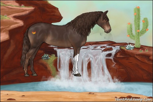 Horse Color:Liver Chestnut