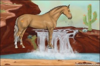 Horse Color:Palomino 