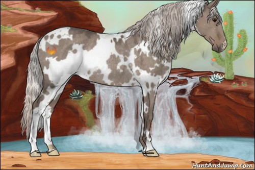 Horse Color:White Spotted Silver Grullo Rabicano 