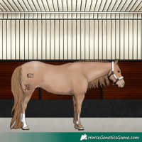 Horse Color:Black Pearl 