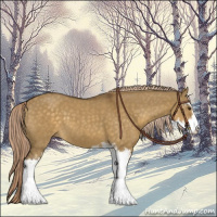 Horse Color:Chocolate Palomino Dun Sabino 