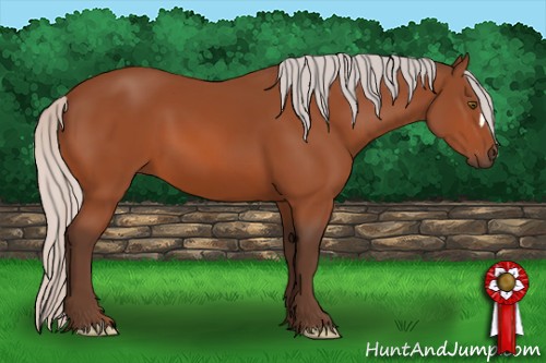 Horse Color:Silver Brown 