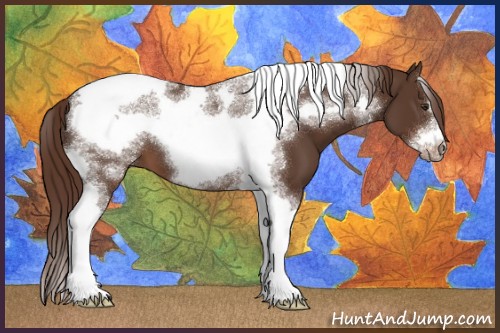 Horse Color:Liver Chestnut Sabino Tobiano Frame 