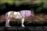 Horse Color:Painted White Spotted Liver Red Dun Tobiano Rabicano