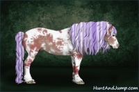 Horse Color:Painted Watercolor White Spotted Liver Chestnut Splash Tobiano