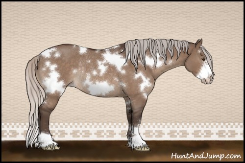 Horse Color:White Spotted Silver Brown Roan Dun Frame Rabicano