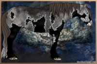 Horse Color:Smoky Black Ice Sabino Splash Varnish