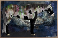 Horse Color:Brown Ice Sabino Splash 