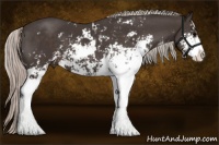 Horse Color:Silver Black Sabino