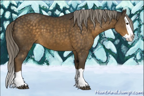 Horse Color:Chocolate Palomino Splash 