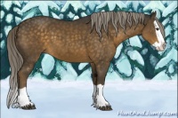 Horse Color:Chocolate Palomino Splash 