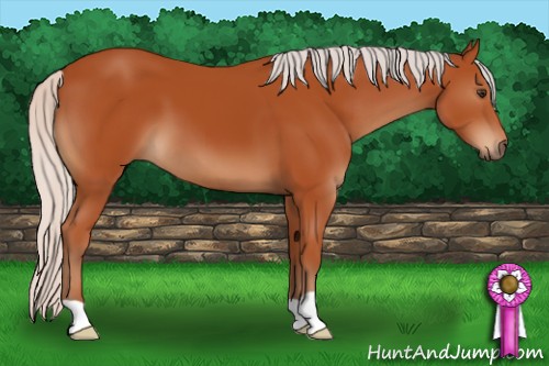 Horse Color:Silver Brown 