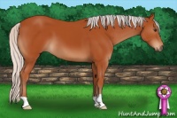 Horse Color:Silver Brown 