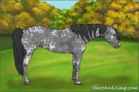 Horse Color:Black Ice 