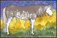 Horse Color:Silver Grullo Splash  and Silver Grullo Splash 