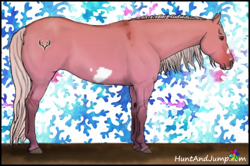 Horse Color:Silver Buckskin Dun Frame 