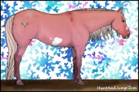 Horse Color:Silver Buckskin Dun Frame 