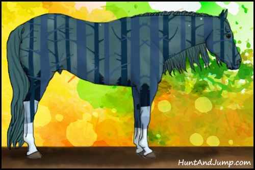 Horse Color:Watercolor Black 